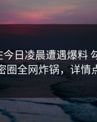 主持人在今日凌晨遭遇爆料 勾魂摄魄，微密圈全网炸锅，详情点击
