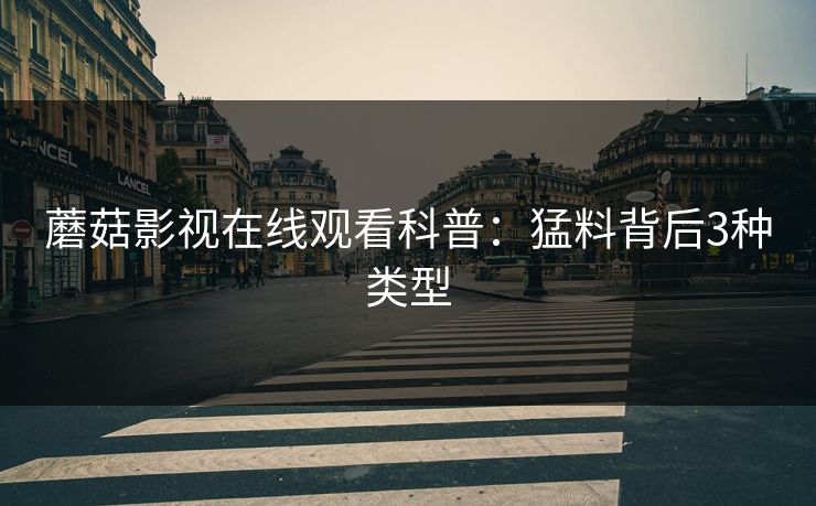 蘑菇影视在线观看科普：猛料背后3种类型