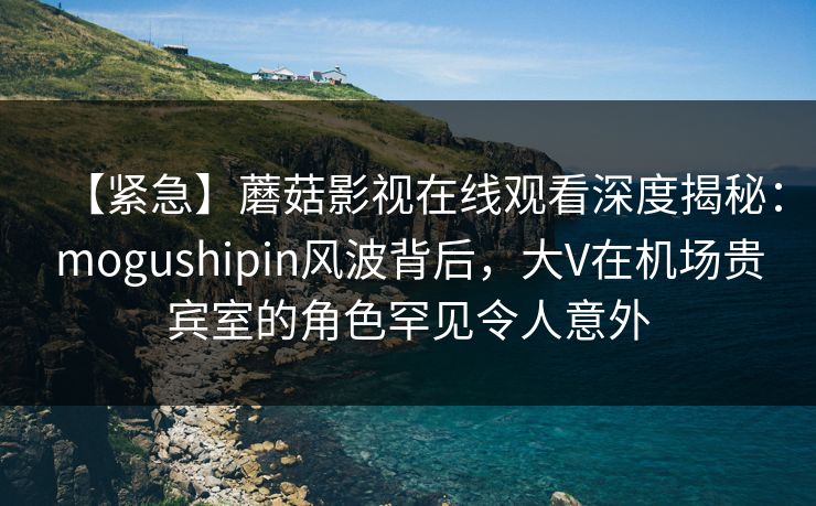 【紧急】蘑菇影视在线观看深度揭秘：mogushipin风波背后，大V在机场贵宾室的角色罕见令人意外