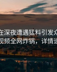 神秘人在深夜遭遇猛料引发众怒，樱桃视频全网炸锅，详情速看