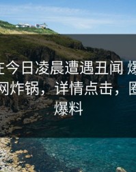 圈内人在今日凌晨遭遇丑闻 爆红网络，黑料全网炸锅，详情点击，圈内真实爆料