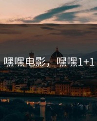 嘿嘿电影，嘿嘿1+1