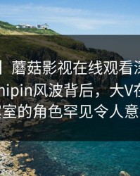 【紧急】蘑菇影视在线观看深度揭秘：mogushipin风波背后，大V在机场贵宾室的角色罕见令人意外