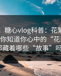 【爆料】糖心vlog科普：花絮背后3种类型——你知道你心中的“花絮”背后都藏着哪些“故事”吗？