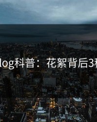 糖心vlog科普：花絮背后3种类型